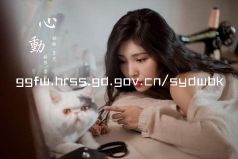 ggfw.hrss.gd.gov.cn/sydwbk